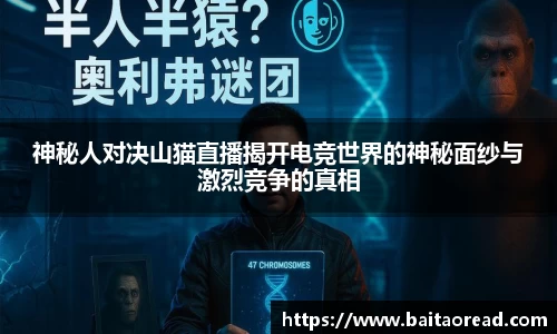 谈球吧