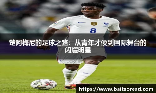 谈球吧